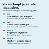 Startset