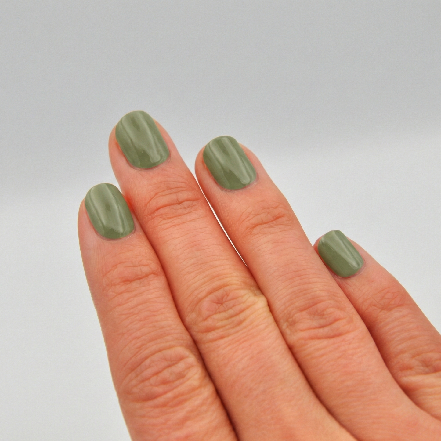 Calm Olive