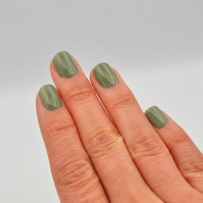 Calm Olive